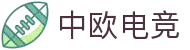 中欧体育（中国）官方网站-zotyesports